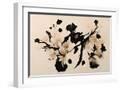 White Frame