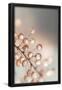 Essential Black