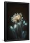 Essential Black