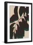 Black Frame