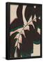 Essential Black