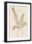 Black Frame