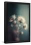 Essential Black