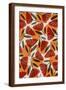 Brown Frame