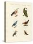 Treecreepers and Hummingbirds-null-Stretched Canvas