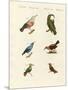 Treecreepers and Hummingbirds-null-Mounted Giclee Print