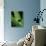 Treefrog-Joe McDonald-Stretched Canvas displayed on a wall