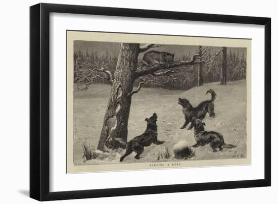 Treeing a Lynx-John Charles Dollman-Framed Giclee Print