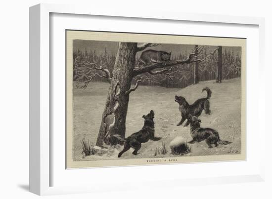 Treeing a Lynx-John Charles Dollman-Framed Giclee Print