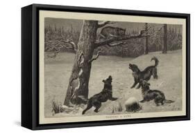 Treeing a Lynx-John Charles Dollman-Framed Stretched Canvas