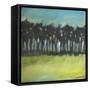 Treeline 2-Tim Nyberg-Framed Stretched Canvas