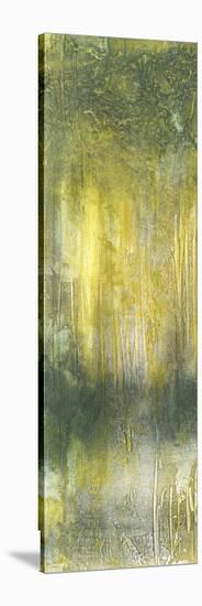 Treeline Abstract I-Jennifer Goldberger-Stretched Canvas