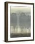 Treeline Haze I-null-Framed Art Print