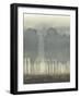 Treeline Haze I-null-Framed Art Print