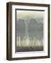 Treeline Haze I-null-Framed Art Print