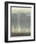 Treeline Haze I-null-Framed Art Print