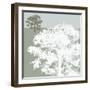 Treeline Sycamore-Sarah Cheyne-Framed Giclee Print