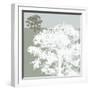 Treeline Sycamore-Sarah Cheyne-Framed Giclee Print