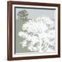 Treeline Sycamore-Sarah Cheyne-Framed Giclee Print