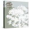 Treeline Sycamore-Sarah Cheyne-Stretched Canvas