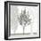 Treeline Trio-Sarah Cheyne-Framed Giclee Print