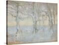Stretched Canvas