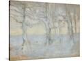 Stretched Canvas