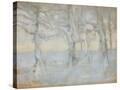 Stretched Canvas
