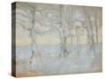 Stretched Canvas