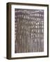 Trees against Clouds, 2009-Evelyn Williams-Framed Giclee Print