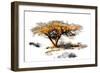 Trees Alive II-Ynon Mabat-Framed Art Print