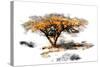 Trees Alive II-Ynon Mabat-Stretched Canvas