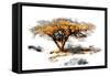 Trees Alive II-Ynon Mabat-Framed Stretched Canvas