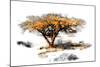 Trees Alive II-Ynon Mabat-Mounted Art Print