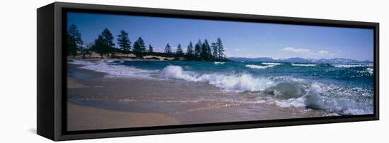 Trees Along a Lake, Lake Tahoe, Nevada, USA-null-Framed Stretched Canvas