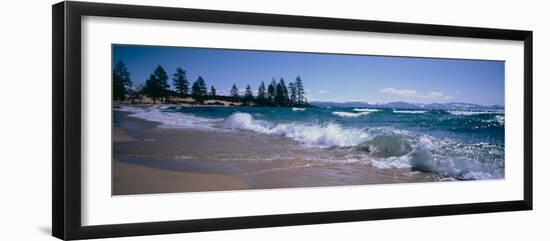 Trees Along a Lake, Lake Tahoe, Nevada, USA-null-Framed Photographic Print