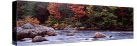 Trees Along a River, Moose River, Adirondack Mountains, New York State, USA-null-Stretched Canvas