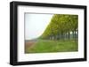 Trees and Agriculture in Spring-Jan Marijs-Framed Photographic Print