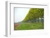 Trees and Agriculture in Spring-Jan Marijs-Framed Photographic Print