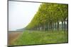 Trees and Agriculture in Spring-Jan Marijs-Mounted Photographic Print