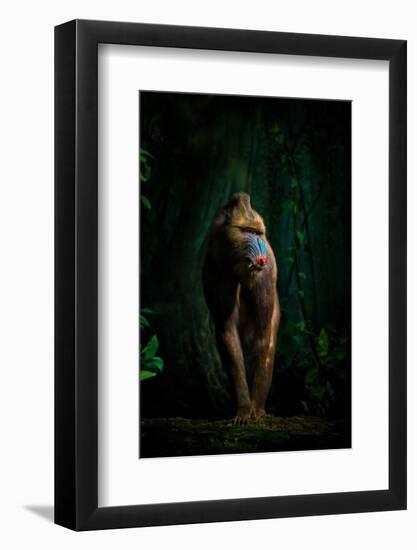trees and beasts!-isma Yunta-Framed Photographic Print