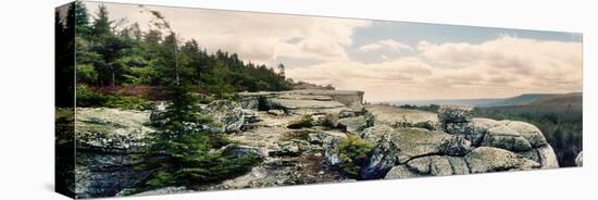 Trees and Boulders Along the Gertrude's Nose, Minnewaska State Park, Catskill Mountains-null-Stretched Canvas