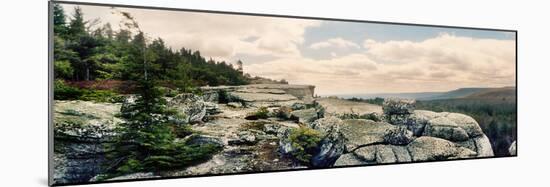 Trees and Boulders Along the Gertrude's Nose, Minnewaska State Park, Catskill Mountains-null-Mounted Photographic Print