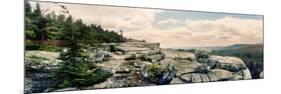 Trees and Boulders Along the Gertrude's Nose, Minnewaska State Park, Catskill Mountains-null-Mounted Photographic Print