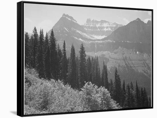 Trees And Bushes In Foreground Mountains In Bkgd "In Glacier National Park" Montana. 1933-1942-Ansel Adams-Framed Stretched Canvas