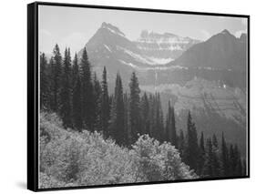 Trees And Bushes In Foreground Mountains In Bkgd "In Glacier National Park" Montana. 1933-1942-Ansel Adams-Framed Stretched Canvas