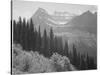 Trees And Bushes In Foreground Mountains In Bkgd "In Glacier National Park" Montana. 1933-1942-Ansel Adams-Stretched Canvas