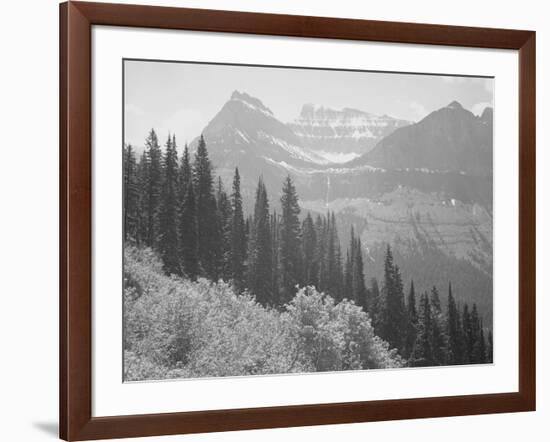 Trees And Bushes In Foreground Mountains In Bkgd "In Glacier National Park" Montana. 1933-1942-Ansel Adams-Framed Art Print