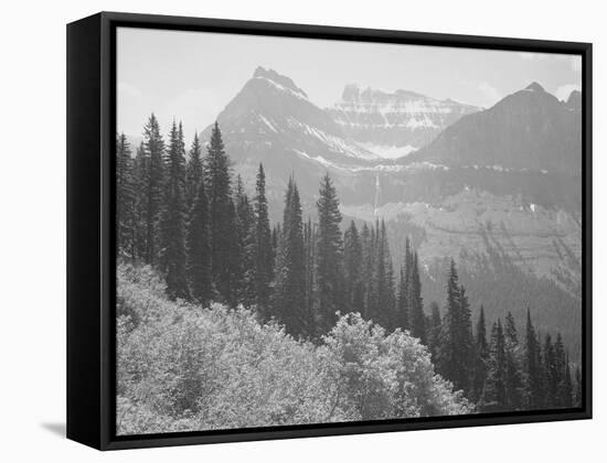 Trees And Bushes In Foreground Mountains In Bkgd "In Glacier National Park" Montana. 1933-1942-Ansel Adams-Framed Stretched Canvas