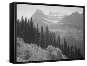 Trees And Bushes In Foreground Mountains In Bkgd "In Glacier National Park" Montana. 1933-1942-Ansel Adams-Framed Stretched Canvas